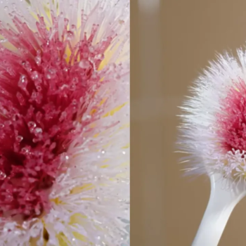 Colgate’s Blooming Genius: Turning a Worn Toothbrush into a Wake-Up Call