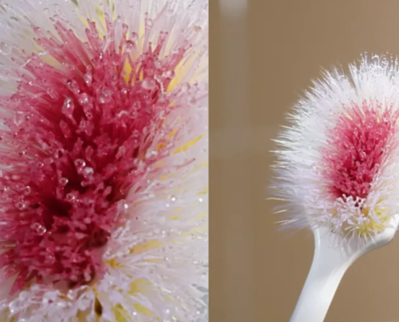 10 - Apr - 2025 - Colgate’s Blooming Genius_ Turning a Worn Toothbrush into a Wake-Up Call Colgate’s Blooming Genius: Turning a Worn Toothbrush into a Wake-Up Call